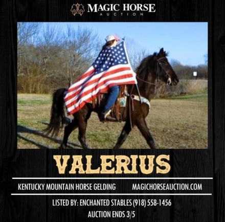 HorseID: 2268031 Valerius - PhotoID: 1038273