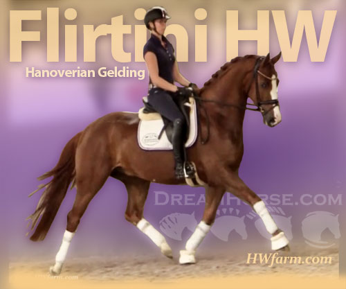 Horse ID: 2199821 Flirtini HW @ www.HWfarm.com - dreams come true!