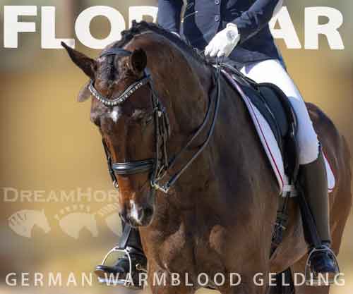 Horse ID: 2224469 Floratar
