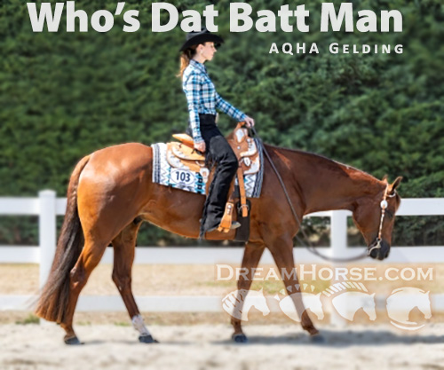 Horse ID: 2255689 Who's Dat Batt Man