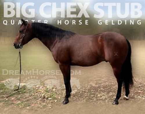 Horse ID: 2260677 Big Chex Stub