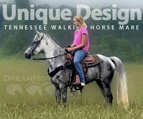 Horse ID: 2262212 Unique Design