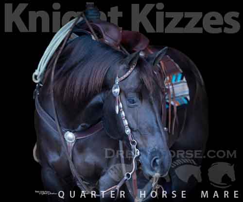 Horse ID: 2263268 Knight Kizzes