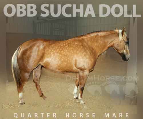 Horse ID: 2263327 OBB Sucha Doll