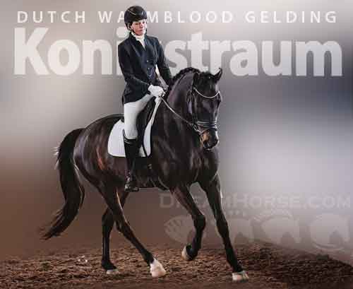 Horse ID: 2263512 Konigstraum