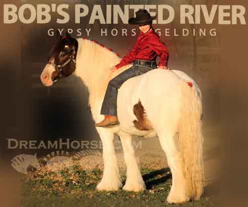 Horse ID: 2263747 Bob's painted river
