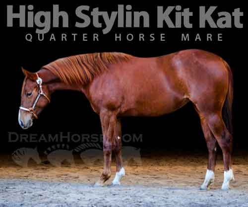 Horse ID: 2263761 High Stylin Kit Kat