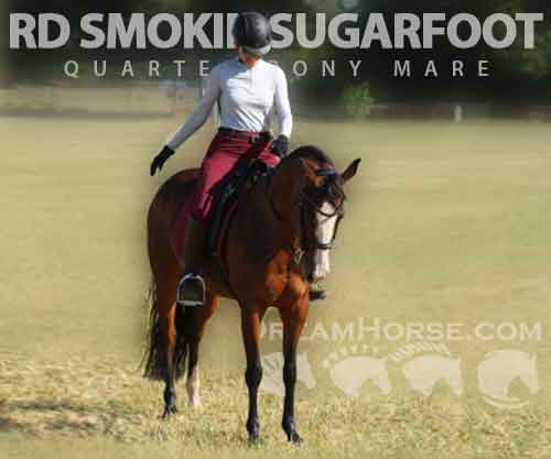 Horse ID: 2264870 RD SMOKIN SUGARFOOT