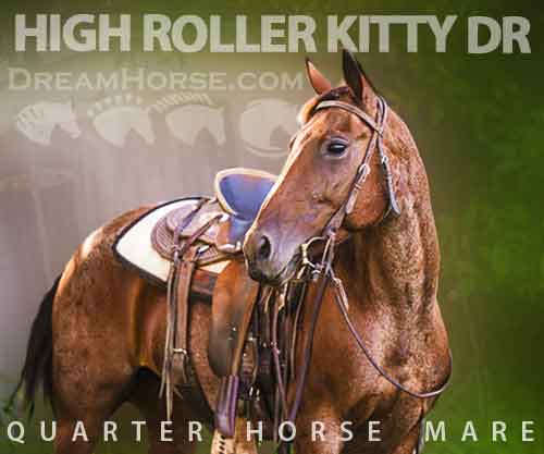 Horse ID: 2265204 HIGH ROLLER KITTY DR