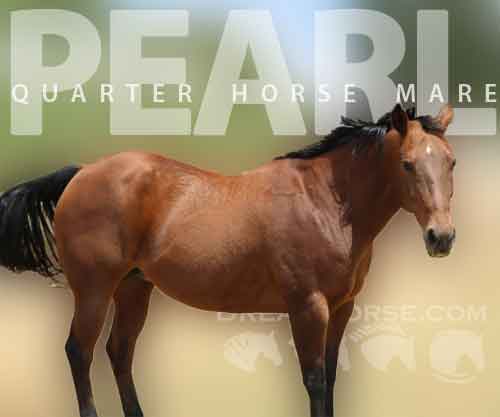 Horse ID: 2265961 Pearl