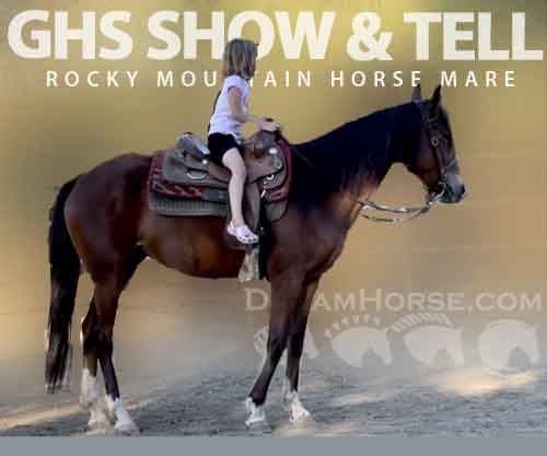 Horse ID: 2266389 GHS show & Tell