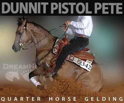 Horse ID: 2266488 Dunnit Pistol Pete