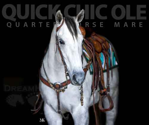 Horse ID: 2267205 QUICK CHIC OLE