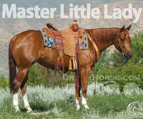 Horse ID: 2267396 Master Little Lady