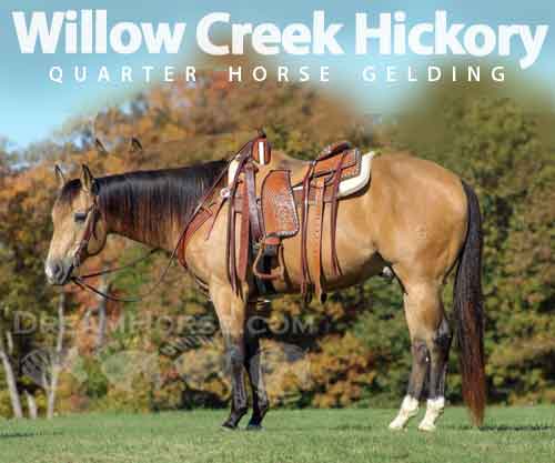 Horse ID: 2267424 Willow Creek Hickory