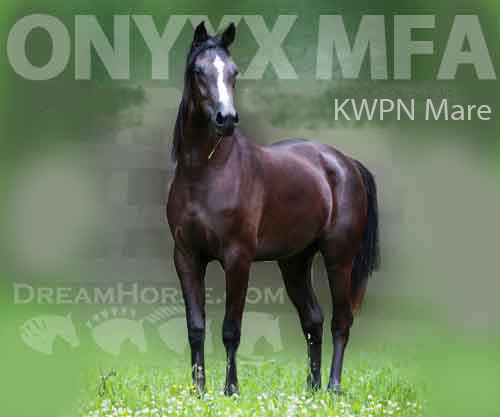 Horse ID: 2267558 Onyxx MFA