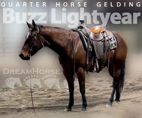 Horse ID: 2267688 Buzz Lightyear
