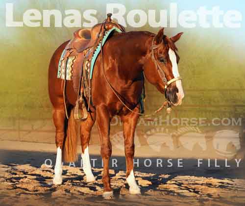 Horse ID: 2267911 Lenas Roulette