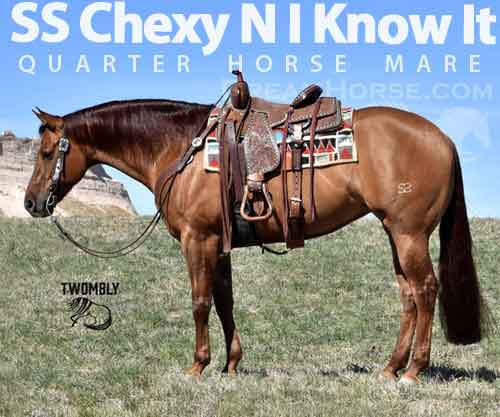 Horse ID: 2271281 SS Chexy N I Know It