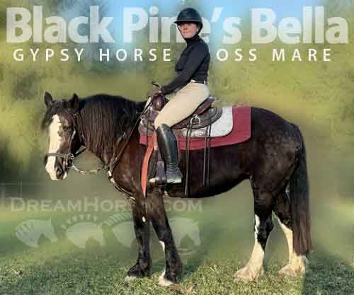 Horse ID: 2271609 Black Pine’s Bella