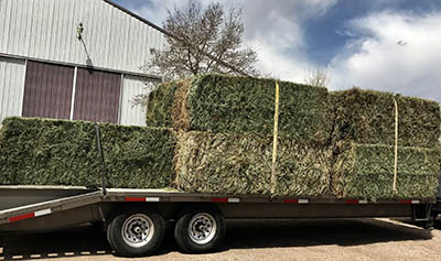 Hay Price Calculator