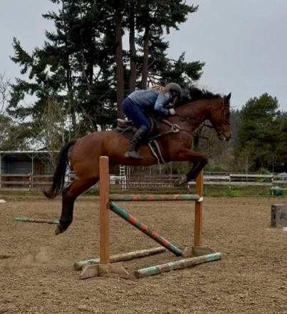 HorseID: 2170705 Eastern Lillian - PhotoID: 1082115