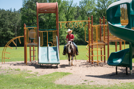 HorseID: 2246739 Chief - PhotoID: 1045907