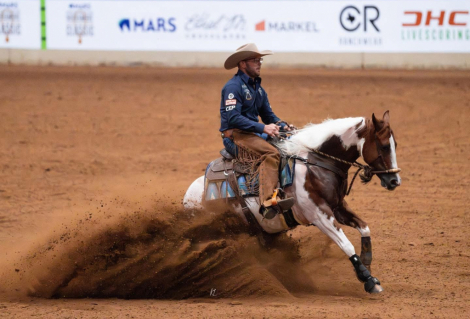 HorseID: 2247444 VALENTINES JUSTINTIME - PhotoID: 1045870