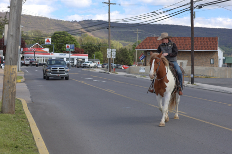 HorseID: 2247444 Steve McQueen - PhotoID: 1045870