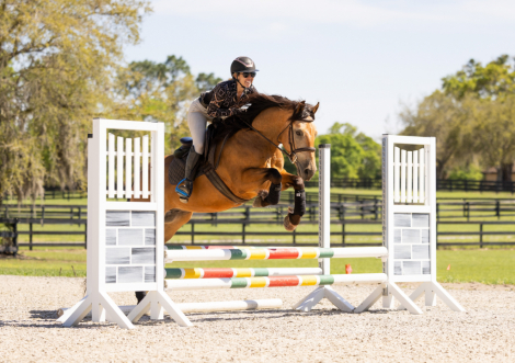 HorseID: 2247456 Whiskey - PhotoID: 1045882