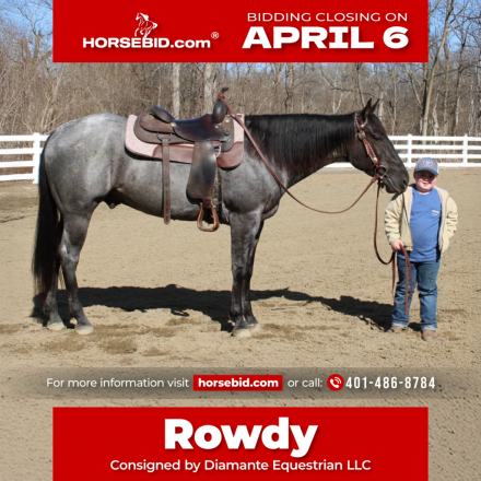 HorseID: 2247457 Rollin Rowdy N Blue - PhotoID: 1042237