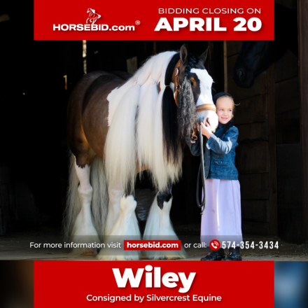 HorseID: 2249906 Triple R Ranch So Worth It - PhotoID: 1033498