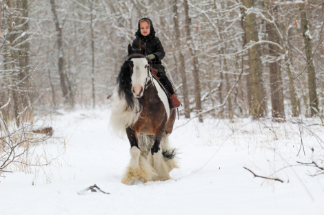 HorseID: 2249906 Triple R Ranch So Worth It - PhotoID: 1049438