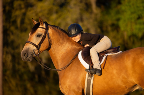 HorseID: 2249908 Whiskey - PhotoID: 1045877