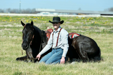 HorseID: 2253894 Blackjack - PhotoID: 1042231