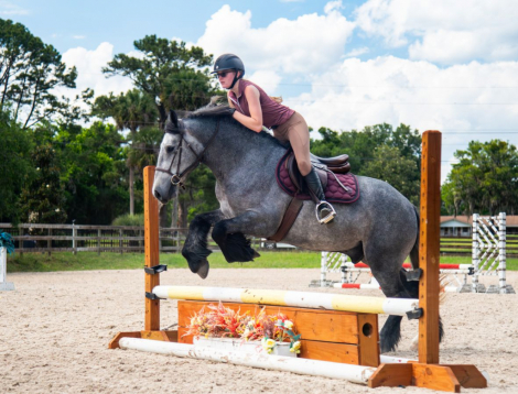 HorseID: 2262623 Teddington - PhotoID: 1054923