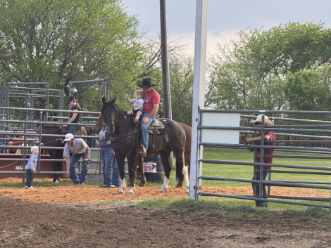 HorseID: 2265021 Spade - PhotoID: 1034262