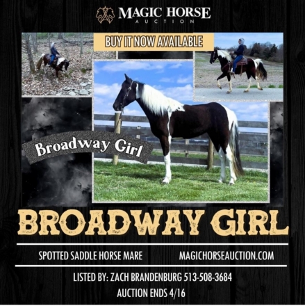 HorseID: 2270321 Broadway Girl - PhotoID: 1041392