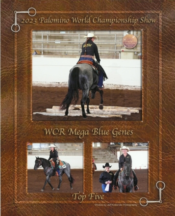 HorseID: 2270717 WCR Mega Blue Genes - PhotoID: 1041891