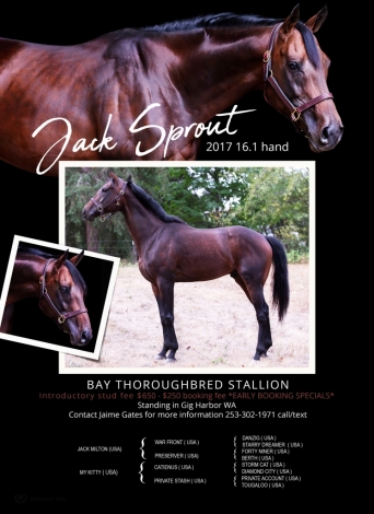 HorseID: 2270919 Jack Sprout - PhotoID: 1042151