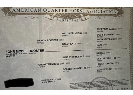 HorseID: 2271000 FQHR MCDEE ROOSTER - PhotoID: 1042284