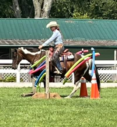 HorseID: 2279959 Diaman H Risky Play - PhotoID: 1096987