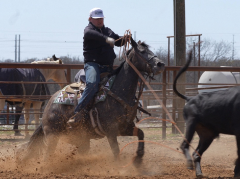 HorseID: 2280895 PR Carly - PhotoID: 1062980