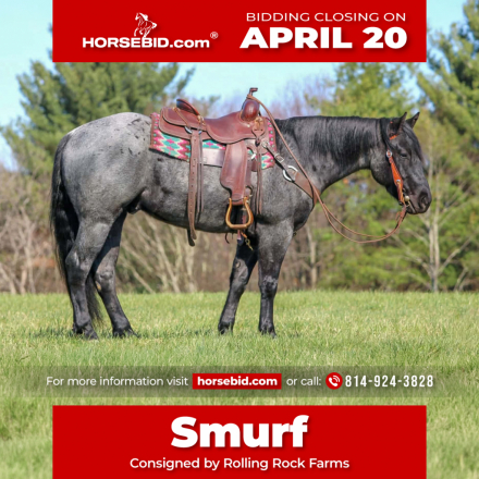 HorseID: 2280905 Got The Bye Bye Blue - PhotoID: 1055692