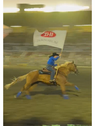 HorseID: 2285676 Button - PhotoID: 1097076