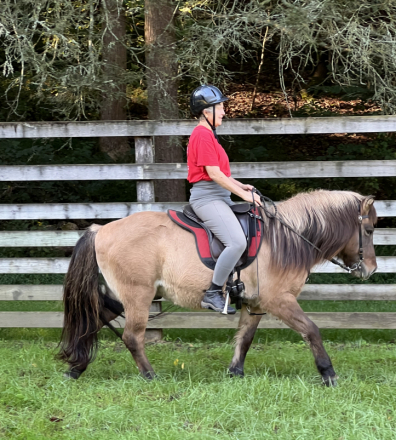 HorseID: 2289995 Arvakur from Unicorn Valley - PhotoID: 1097063