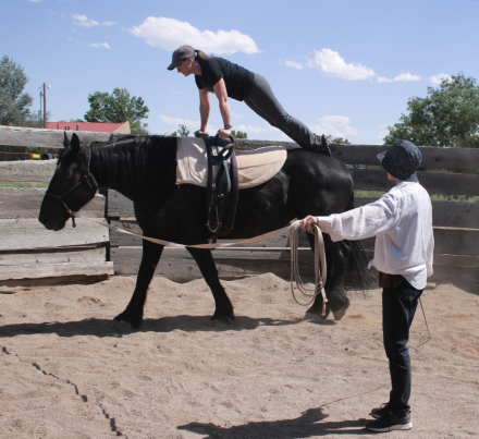 HorseID: 2290027 Sally Jewel - PhotoID: 1095776