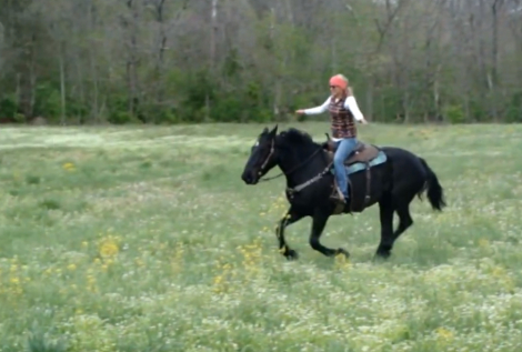 HorseID: 2290027 Sally Jewel - PhotoID: 1095778