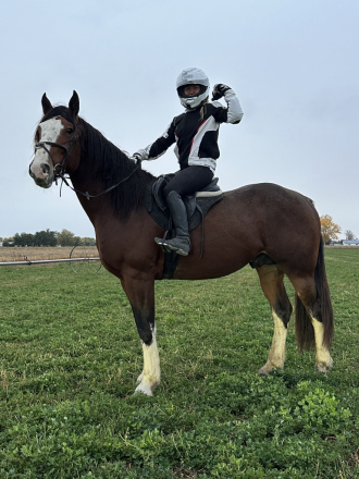 HorseID: 2292126 Thunderhoof's Odin - PhotoID: 1070805