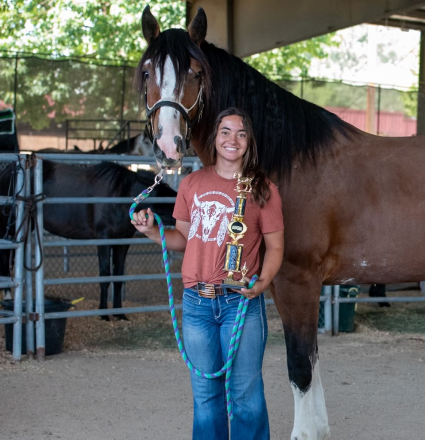 HorseID: 2292126 Thunderhoof's Odin - PhotoID: 1070806